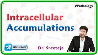 7. Intracellular Accumulations : Pathology USMLE Step 1