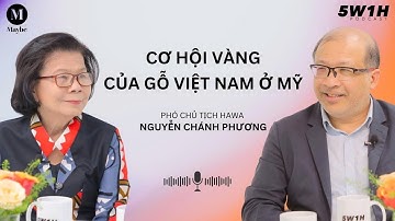 Cơ hội vàng của gỗ Việt Nam ở Mỹ | Phó chủ tịch HAWA Nguyễn Chánh Phương | 5W1H