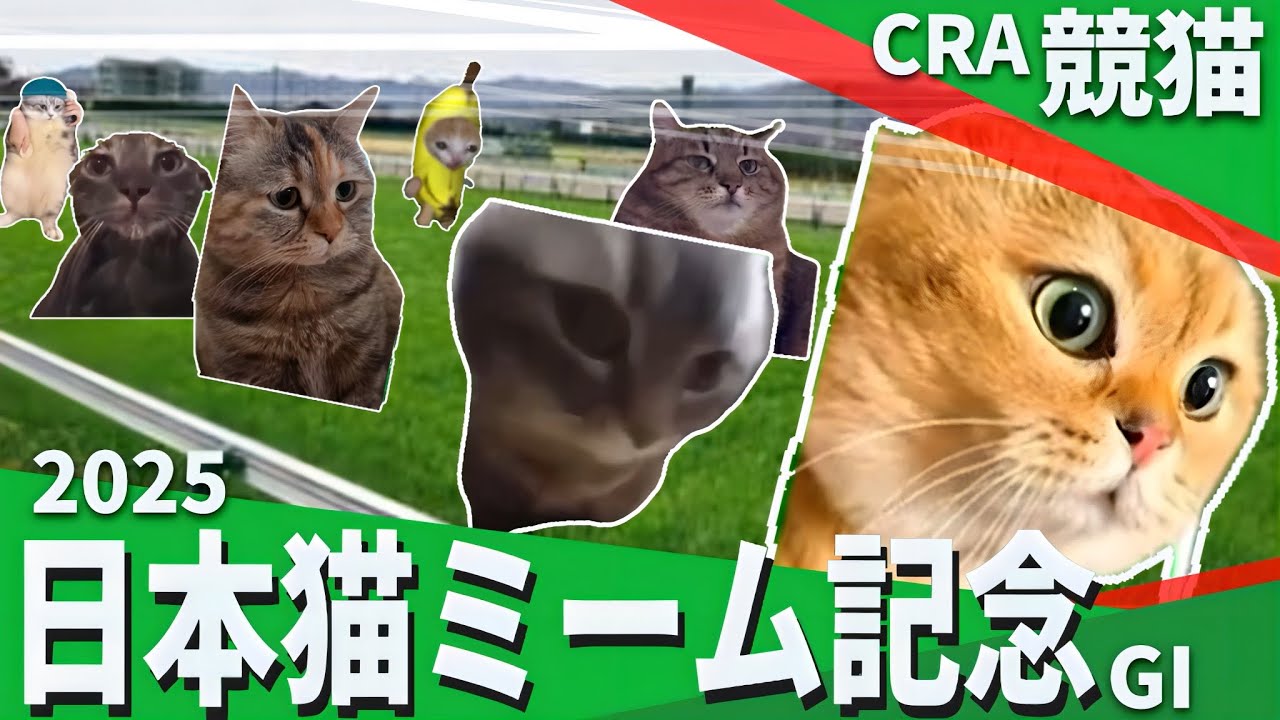 猫ミーム 2025年 日本猫ミーム記念（G I） 【猫ミーム】 - YouTube