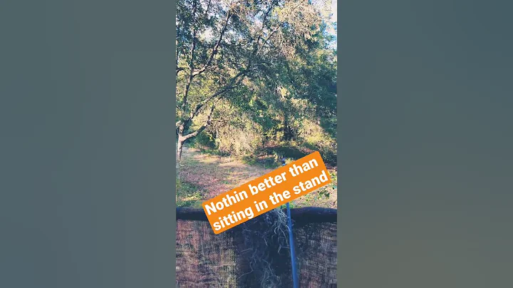 Nothing better than sitting in the stand