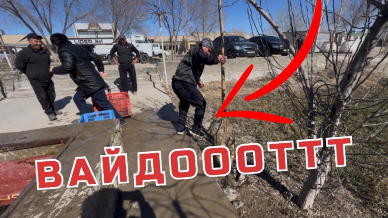 ТУРТКУЛЬ ТЕЗКОР‼️ВИДЕО БУГУН 28 февраля 2026 г.