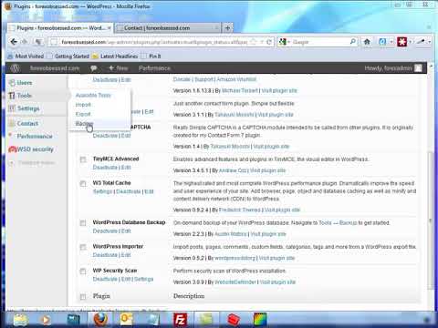 Wordpress for Beginners - WP DB Backup