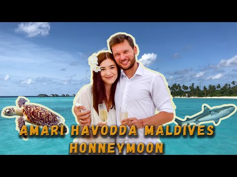Видео: Мальдив дахь хурим - романтик хүмүүсийн мөрөөдөл