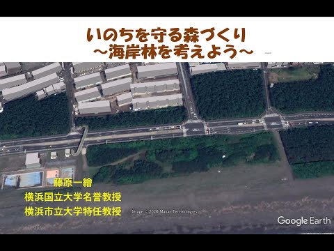 「いのちを守る森づくり ～海岸林を考えよう～」 2020年10月18日 横浜国大名誉教授 藤原一繪先生の講演会