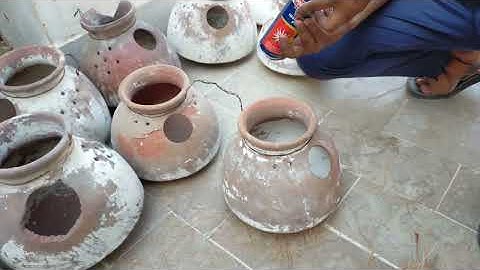 White and silver java sparrow breeding tips | java birds breeding setup | Java sparrow | Java finch