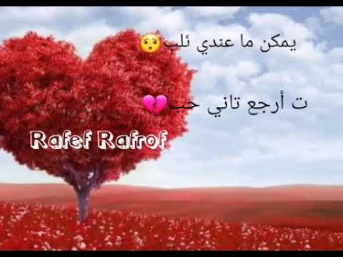 وجع القلب ربيع بارود حالات واتس اب 