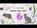 Mix30 game for cats 6