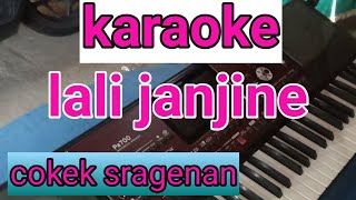 Karaoke cokek lali janjine#lali janjine versi cokek sragenan tanpa vokal