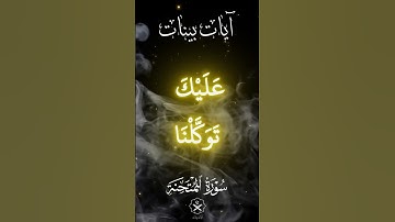 تلاوات من القرآن الكريم - سورة الممتحنة  4~5