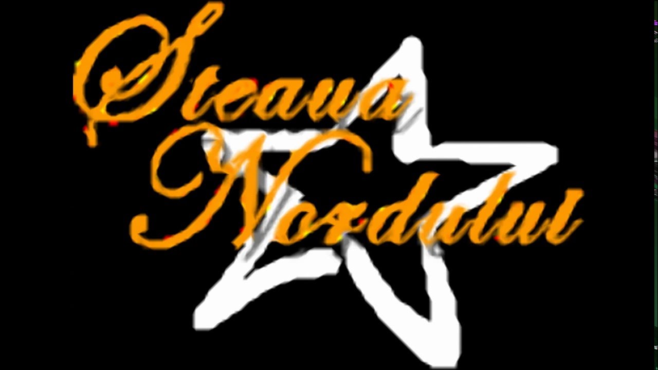 Pensiunea Steaua Nordului Busteni - www.promopensiuni.com