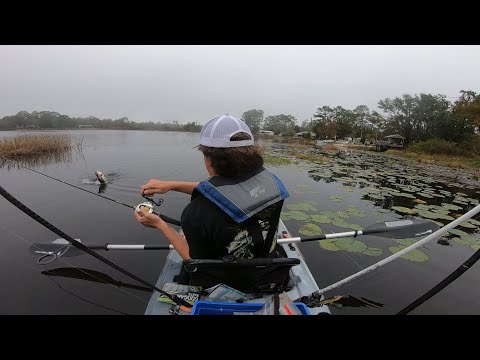 BFS Bass Fishing Clear Water And Docks (Bed Fish Caught!!!)