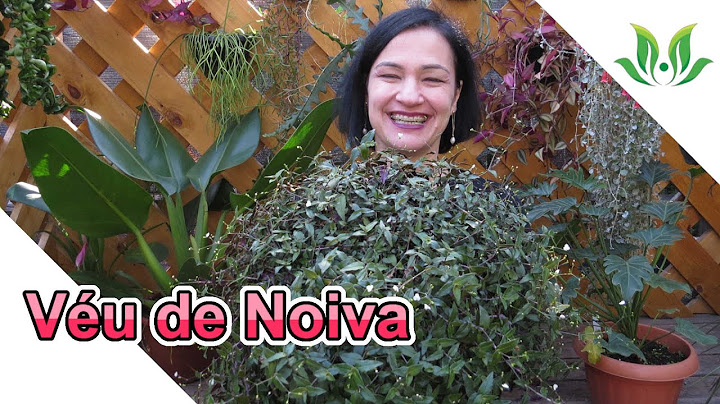 Véu de Noiva