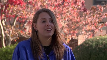 Should I apply for the Mentorship program?