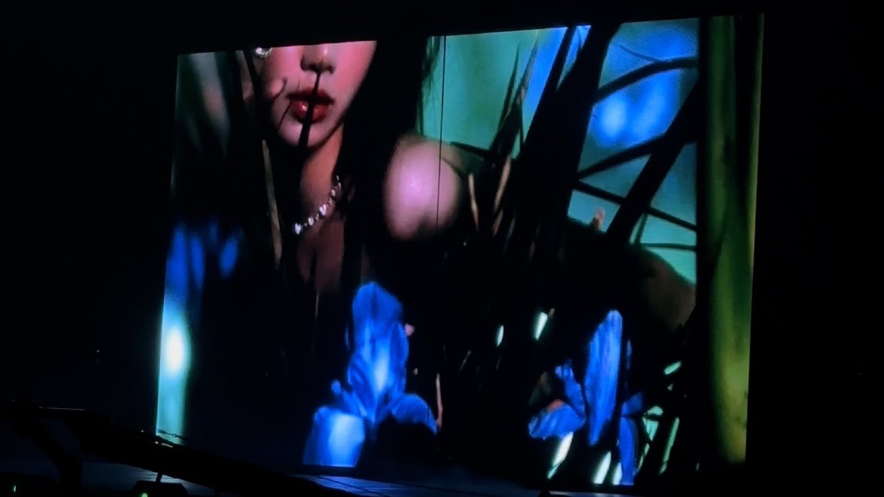 (4K)BLACKPINK Seoul Concert Opening + HYLT + Pretty Savage + Whistle Fancam