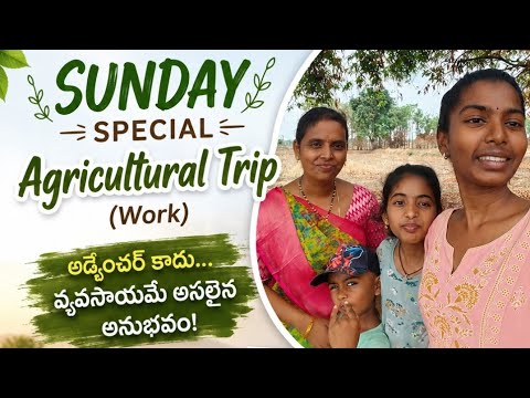 Sunday special  molka alikinam Adventure trip కాదు Agricultural trip(work) # simple life shireesha 