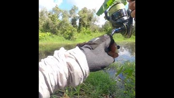 câu cá lóc u minh thượng kênh k4