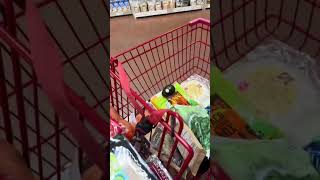 Come with me grocery shopping : Trader Joe’s |on a budget