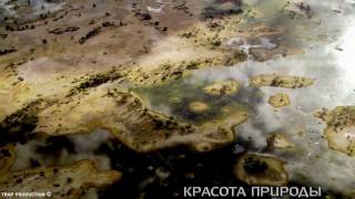 Экологические проблемы [HD] / Ecological Problems [HD](Социальная реклама на тему загрязнения.Давайте сохраним нашу планету для нашего будущего поколения., 2011-06-09T17:10:04.000Z)