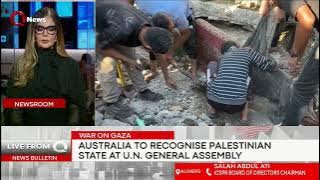 Growing recognition of Palestine is good response to Israeli occupation agenda: Palestinian advocate