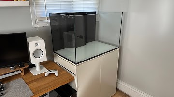 Nieuw kantoorrifaquarium gebouwd! - UNS R90