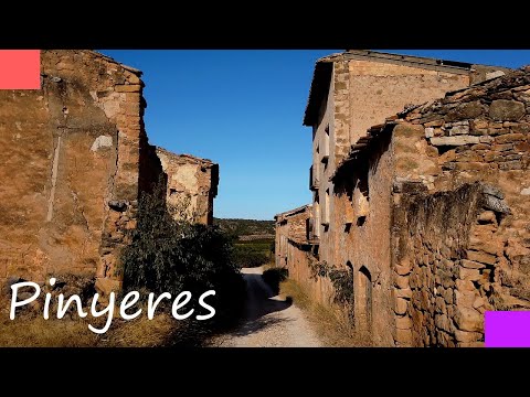 Vídeo: Per Què Els Llocs No S’obren