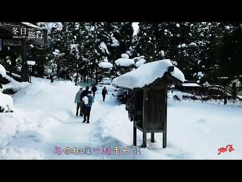 雪中情