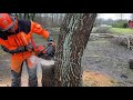 Felling a Leaning Tree