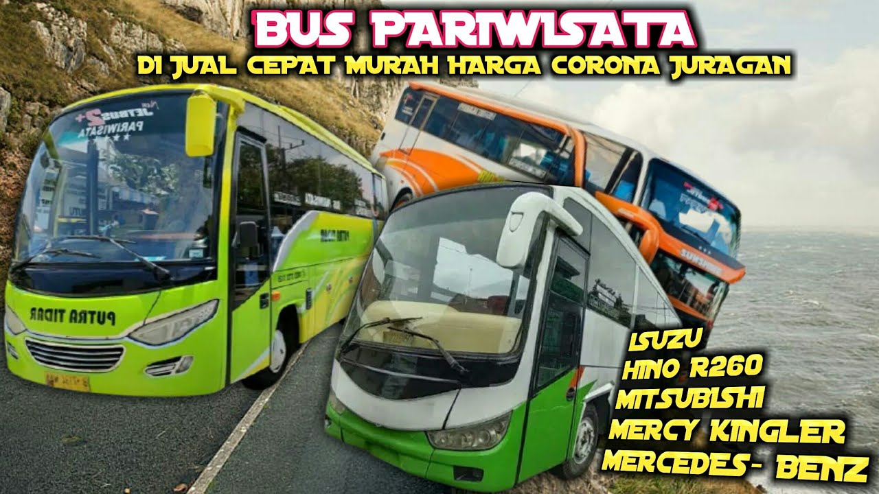 Mercy R260 BUS PARIWISATA HARGA CORONA || HINO R260, ISUZU, MERCY KINGLER DLL ...