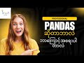 Pandas ဆိုတာဘာလဲ Pandas ဘာကြောင့်အရေးပါတာလဲ  လေ့လာကြမယ်