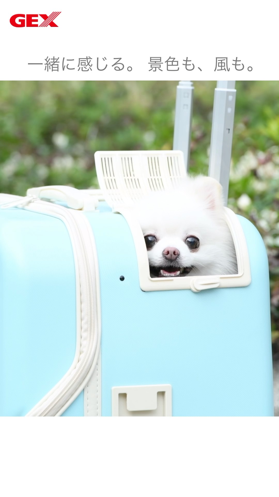 GEX OSOTO ペット用キャリーケース M ホワイト キャリーバッグ 4輪