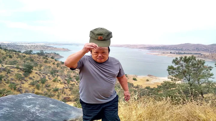 Sueleo Vue