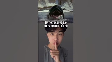 caocuongvu | Sở thích quái dị của cá voi sát thủ | Sự Thật Là Lùng Mà Bạn Chưa Bao Giờ Biết #shorts