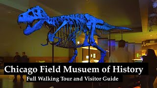 Chicago Field Museum of Natural History Full Walkthrough - ASMR with Chapters - March 2023