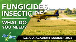 Fungicides for Stressed Corn & Soybeans: How to Get the Best Performance after a Dry Spring