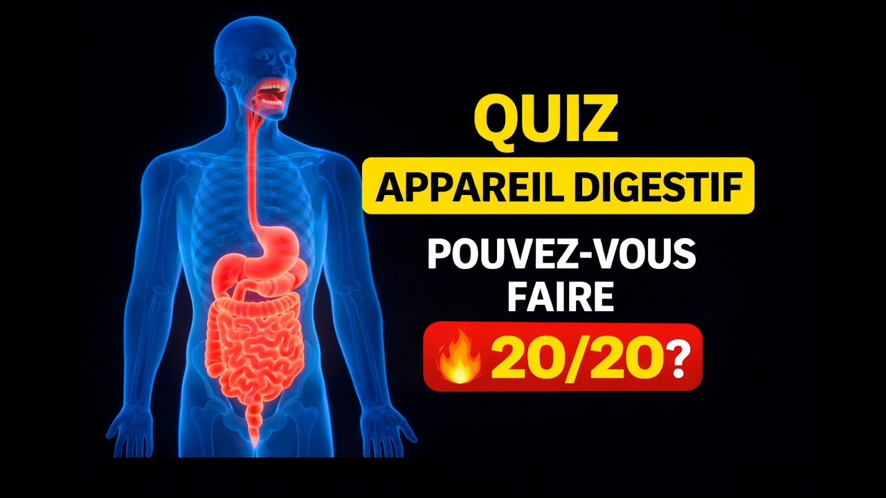 Quiz appareil digestif : pouvez-vous obtenir 20/20 ? (anatomie et ...