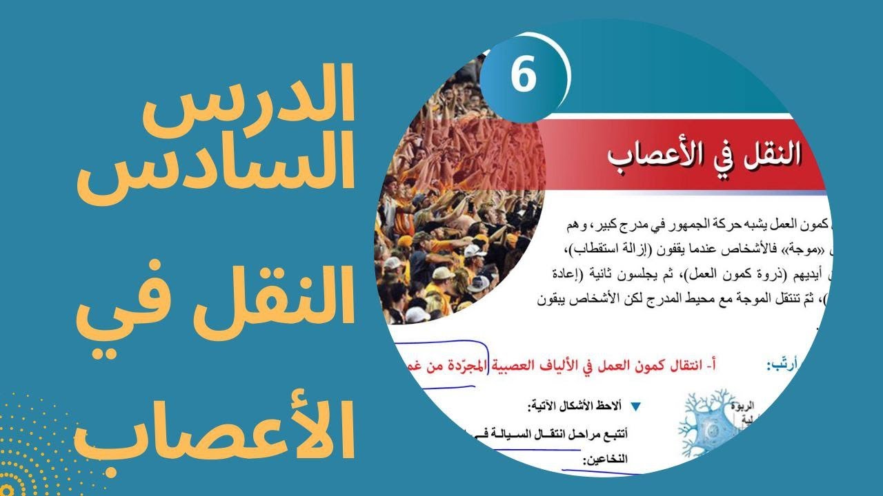علوم بكالوريا سورية الدرس 6- 1 النقل في الأعصاب