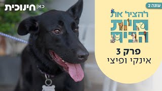  להציל את חיות הבית 2 | פרק 3 - אינקי ופיצי
