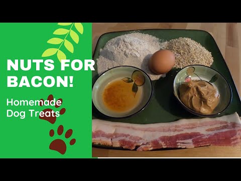 Video: Carne de vită Pupcake Dog Food Rețetă