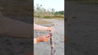 Can This Shotgun Shoot? Let's See!