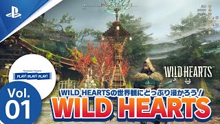 PLAY! PLAY! PLAY!『WILD HEARTS』Vol.01