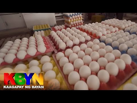 KBYN: Kilalanin ang pinakamatanda at unang magmamanok sa San Jose, Batangas