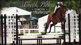 Garcon