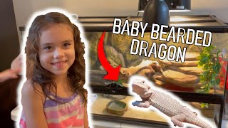 BABY BEARDED DRAGON UNBOXiNG!! Setting up new cage!  Drive to get dragon and feeding our new pet!