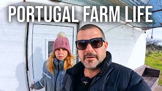 It's ALL going WRONG for us! | PORTUGAL FARM LIFE