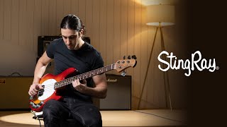 Sterling by Music Man: StingRay Ray34 Demo (ft. Marcelo Feldman) - RAY34