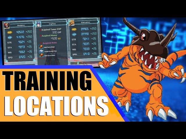 digimon v pet training effectiveness digimon v pet training effectiveness