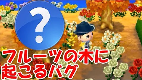 とびだせどうぶつのもりバグ