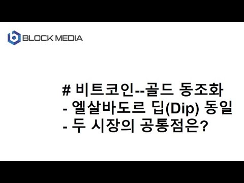[JJ@블록미디어] 비트코인--골드 동조화...<strong>DIP</strong> 동시 발생