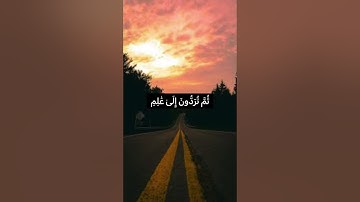 قُلۡ إِنَّ ٱلۡمَوۡتَ ٱلَّذِي تَفِرُّونَ مِنۡهُ فَإِنَّهُۥ مُلَٰقِيكُمۡۖ#❤️#راحة_نفسية #سورة_الجمعة