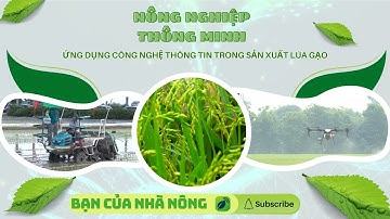 Ứng Dụng Công Nghệ Thông Tin Trong Sản Xuất Lúa Gạo